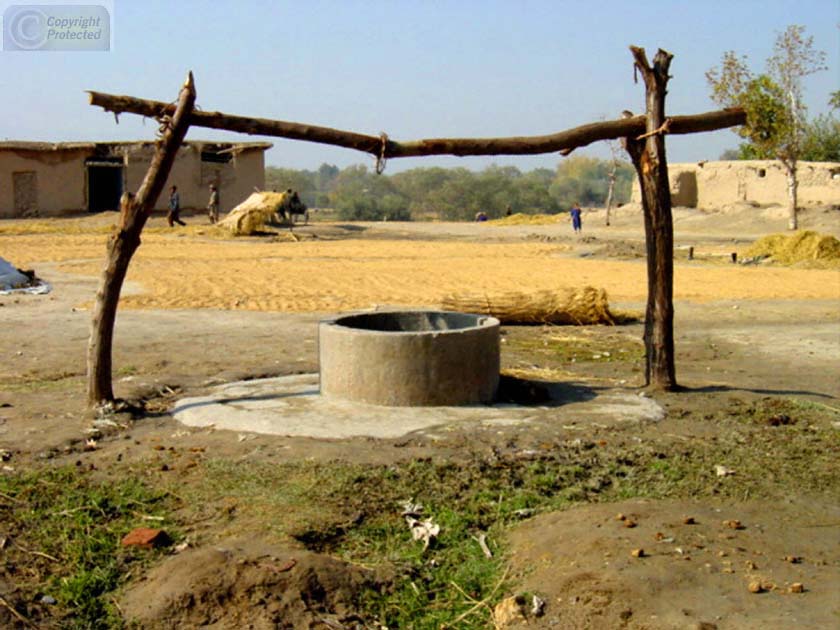 A Well with Wheat behind